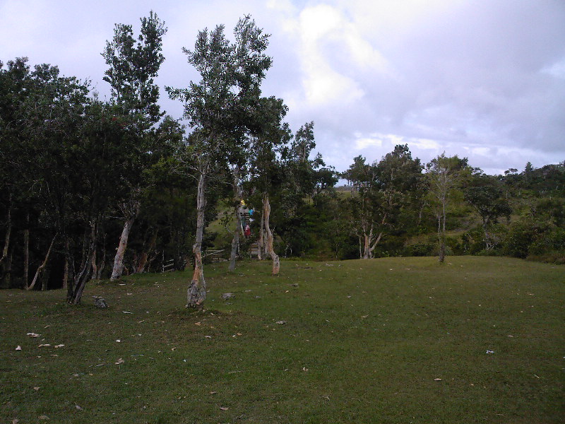 gal/Ile Maurice/SP_A0027_Black_River_Gorges.jpg